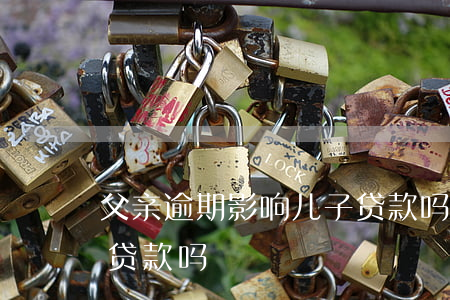 車在父親名下能貸款嗎(父親貸款逾期對我有什么影響)? (http://www.tony-an.com/) 知識問答 第2張