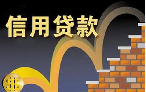 不看負(fù)債和征信的貸款(征信報告看負(fù)債)? (http://www.tony-an.com/) 知識問答 第2張