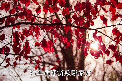 車子綠本抵押貸款平臺(tái)(車抵押綠本貸款有什么套路)? (http://www.tony-an.com/) 知識(shí)問答 第3張