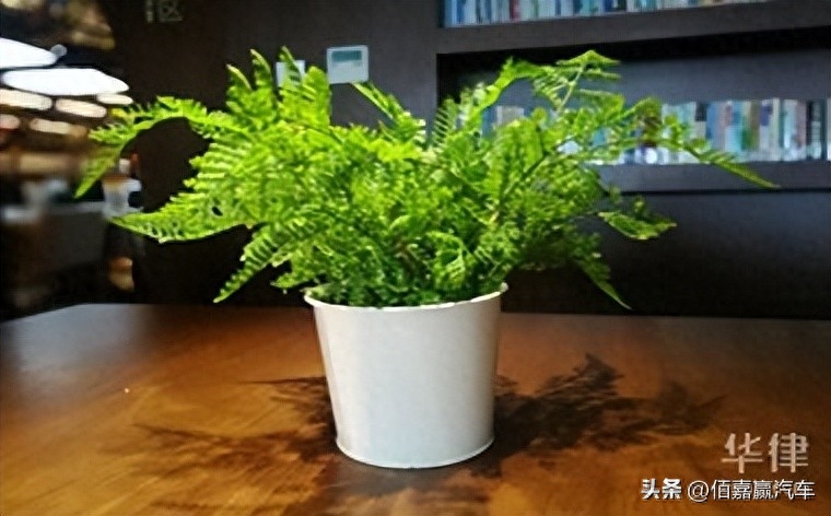 押車借錢需要啥手續(xù)(押車貸款需要什么資料)? (http://www.tony-an.com/) 知識(shí)問答 第1張