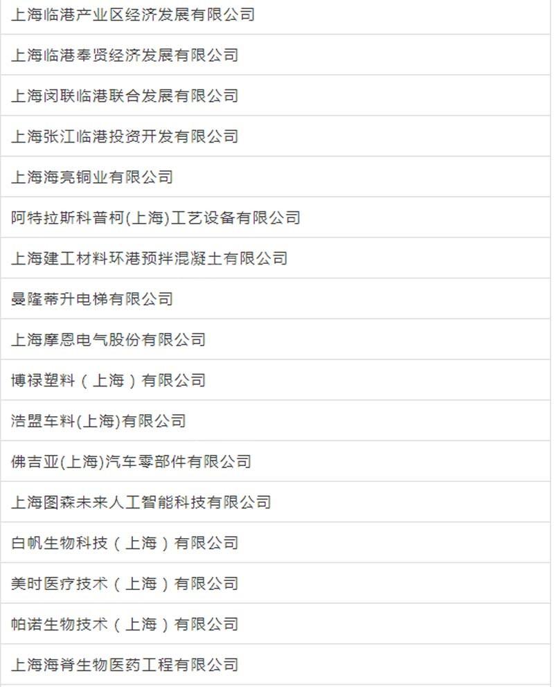 臨港新片區(qū)車輛抵押貸款(上海臨港新片區(qū))? (http://www.tony-an.com/) 知識(shí)問(wèn)答 第13張