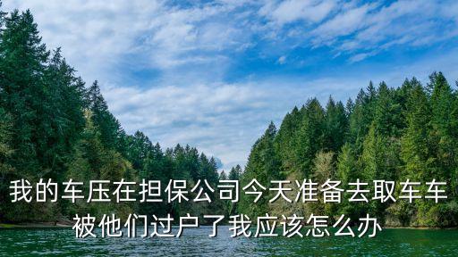 汽車過戶貸款靠譜嗎(希財網貸款靠譜嗎)? (http://www.tony-an.com/) 知識問答 第1張