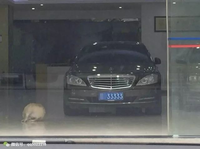 什么平臺可以抵押車(抵押車平臺可以注銷嗎)? (http://www.tony-an.com/) 知識問答 第1張