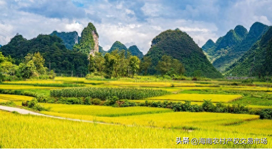 車輛抵押融資(土地違規(guī)抵押融資整改)? (http://www.tony-an.com/) 知識問答 第2張