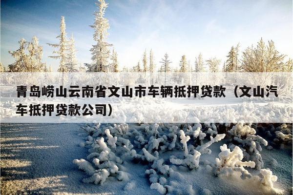 蘇州金山汽車抵押融資(涉土地違規抵押融資)? (http://www.tony-an.com/) 知識問答 第1張