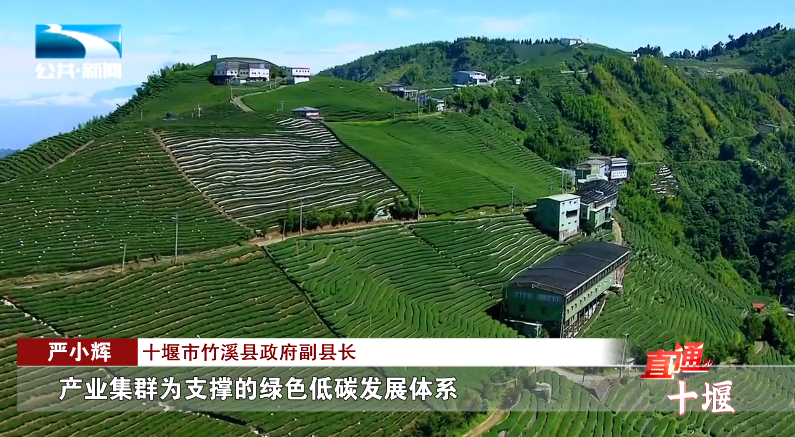 汽車抵押融資哪里好(車輛抵押融資)? (http://www.tony-an.com/) 知識問答 第15張