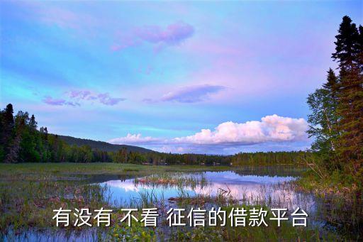 不看負債和征信的融資(融資征信)? (http://www.tony-an.com/) 知識問答 第1張