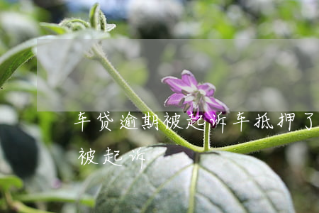 車子抵押貸款怎么貸(抵押貸款汽車)? (http://www.tony-an.com/) 知識問答 第2張