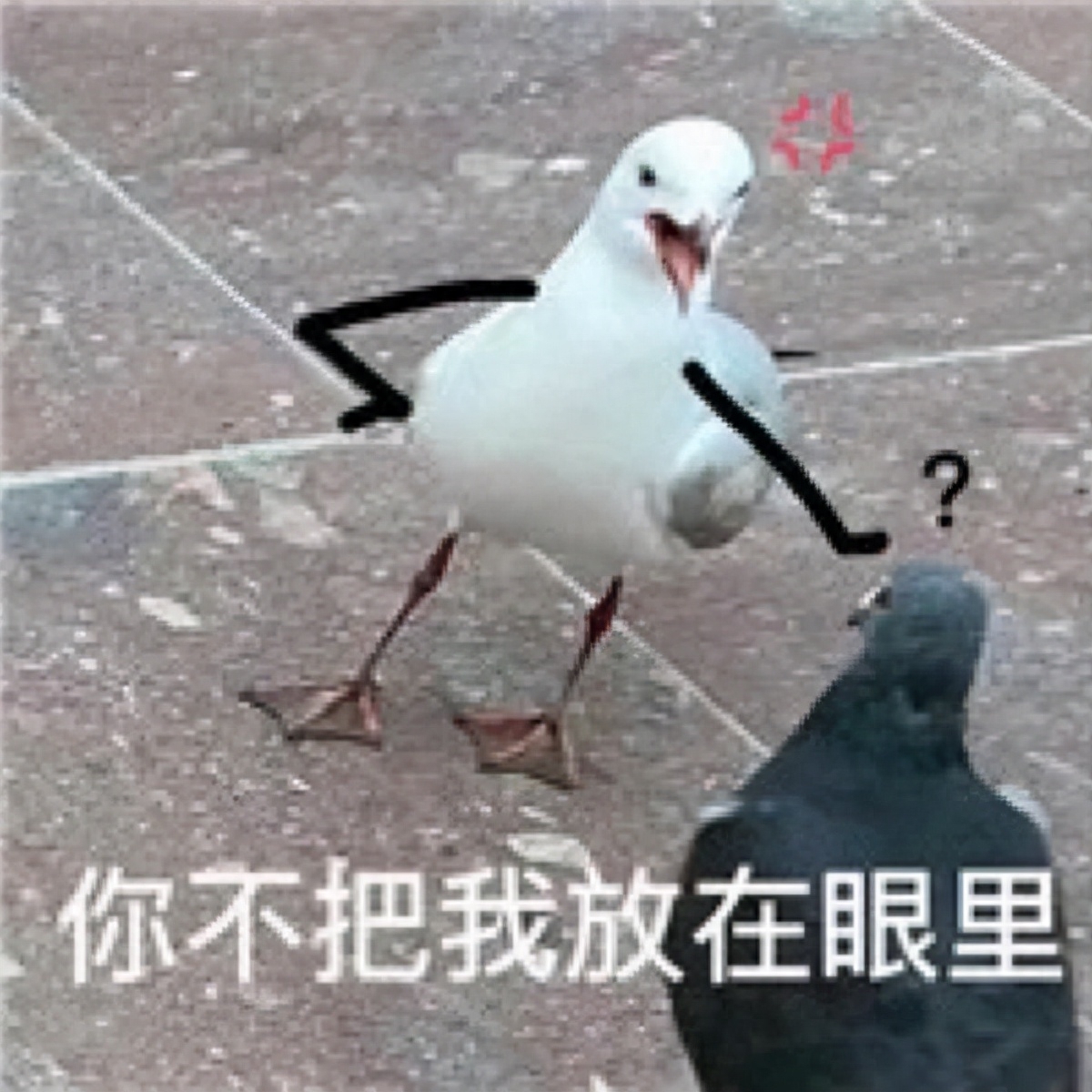 不押車不看征信貸款(押車貸款看征信嗎)? (http://www.tony-an.com/) 知識問答 第1張