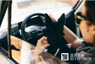 車子抵押借錢(抵押車子借錢合同)? (http://www.tony-an.com/) 知識問答 第5張