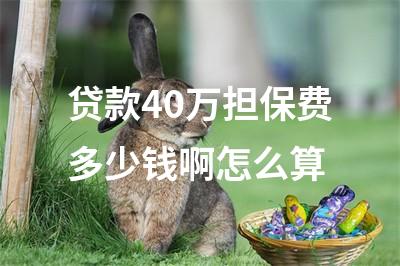 貸款擔(dān)保公司一般怎么收費(fèi)(擔(dān)保收費(fèi)貸款一般公司有哪些)? (http://www.tony-an.com/) 知識(shí)問(wèn)答 第1張