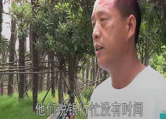 抵押汽車綠本能貸多少錢(車輛抵押綠本可以借出來嗎)? (http://www.tony-an.com/) 知識問答 第2張