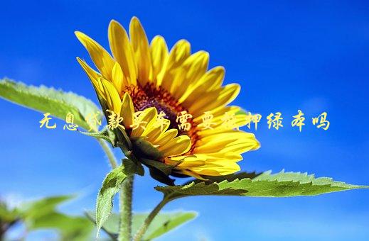 沒綠本車可以抵押嗎(抵押車沒綠本可以報廢處理嗎)? (http://www.tony-an.com/) 知識問答 第1張