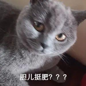 閔行區那里有車子抵押貸款的(上海汽車抵押貸)? (http://www.tony-an.com/) 知識問答 第1張