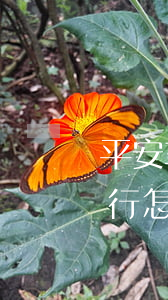 平安車主貸款怎么貸需要什么條件(平安車主貸要去銀行弄嗎)? (http://www.tony-an.com/) 知識問答 第2張