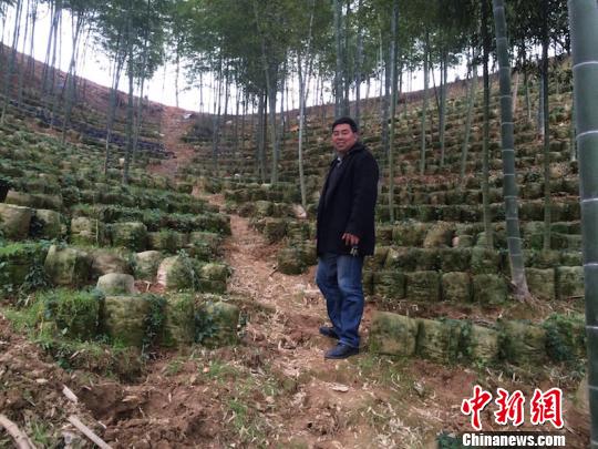金山區抵押車貸(抵押山區貸車金怎么處理)? (http://www.tony-an.com/) 知識問答 第1張
