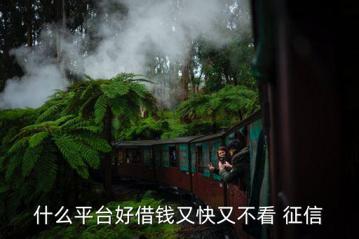 不查征信的網(wǎng)貸(網(wǎng)貸征信查多了多久能恢復(fù))? (http://www.tony-an.com/) 知識(shí)問(wèn)答 第1張