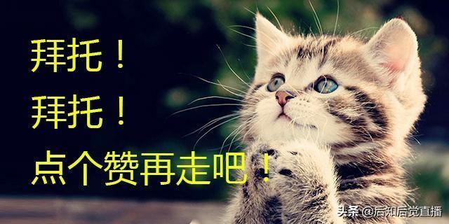 車抵押貸款不押車(車抵押貸款)? (http://www.tony-an.com/) 知識問答 第2張