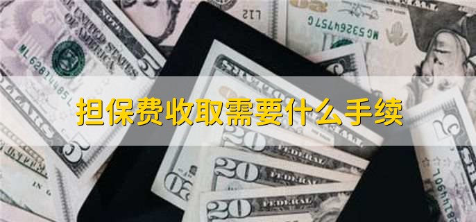 貸款擔保公司一般怎么收費(擔保公司貸款服務費收取標準)? (http://www.tony-an.com/) 知識問答 第2張