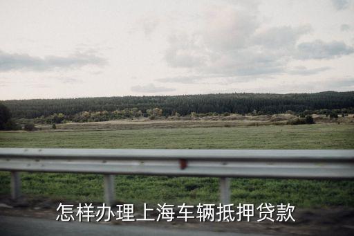 上海車輛貸款不押車(上海車抵押貸款不押車)? (http://www.tony-an.com/) 知識問答 第3張