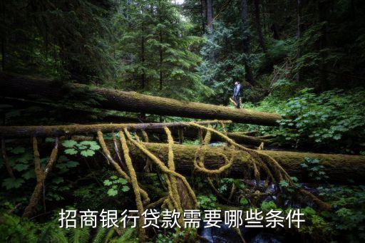 行駛證貸款(機動車行駛證貸款)? (http://www.tony-an.com/) 知識問答 第2張