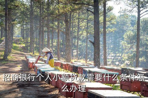 行駛證貸款(機動車行駛證貸款)? (http://www.tony-an.com/) 知識問答 第3張