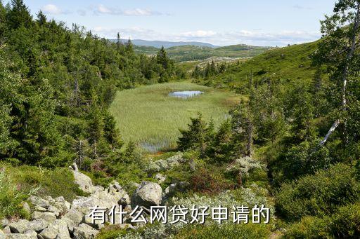 正規(guī)網(wǎng)絡(luò)貸款平臺哪個靠譜好申請(貸款正規(guī)的平臺)? (http://www.tony-an.com/) 知識問答 第2張