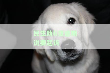 助貸公司貸款沒批下來(助貸批貸款下來沒公司怎么辦)? (http://www.tony-an.com/) 知識問答 第1張