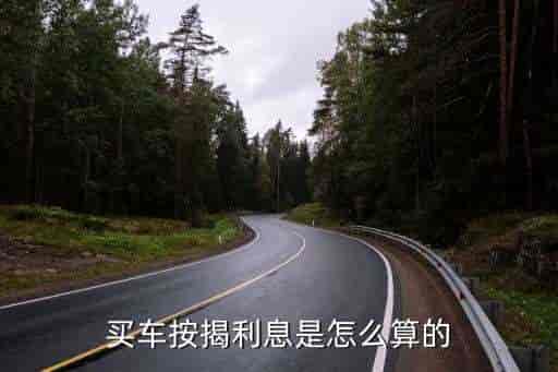 車貸利率(車貸了利率)? (http://www.tony-an.com/) 知識問答 第2張