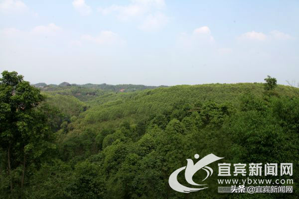 宜賓汽車抵押貸款(宜賓抵押車價(jià)格)? (http://www.tony-an.com/) 知識(shí)問答 第3張
