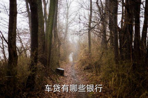 上海車輛貸款公司(上海汽車貸款公司業務)? (http://www.tony-an.com/) 知識問答 第2張