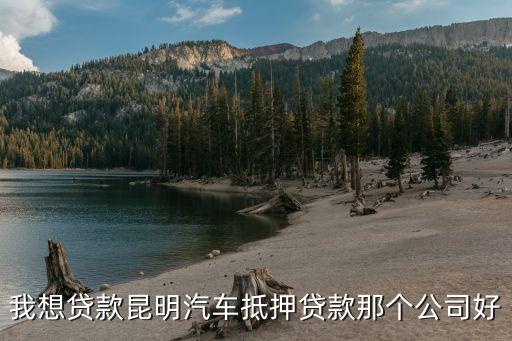 上海車(chē)子抵押貸款哪里可以做(上海的抵押車(chē)能買(mǎi)嗎)? (http://www.tony-an.com/) 知識(shí)問(wèn)答 第2張