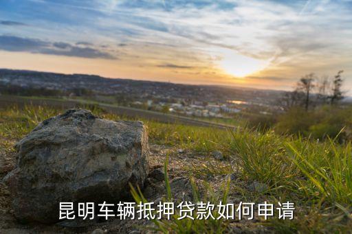 上海車(chē)子抵押貸款哪里可以做(上海的抵押車(chē)能買(mǎi)嗎)? (http://www.tony-an.com/) 知識(shí)問(wèn)答 第3張