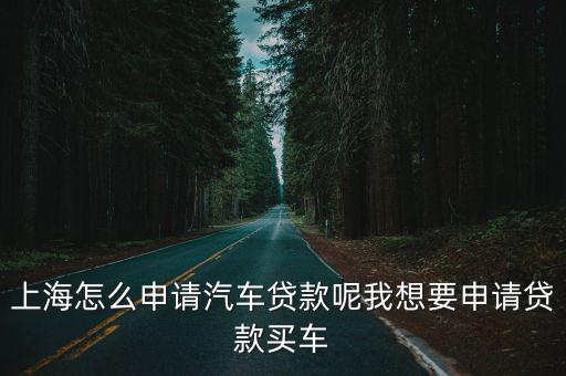 上海車牌貸款怎樣申請(上海車牌貸款申請了能取消嗎)? (http://www.tony-an.com/) 知識問答 第1張
