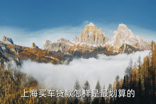 上海車牌貸款怎樣申請(上海車牌貸款申請了能取消嗎)? (http://www.tony-an.com/) 知識問答 第2張