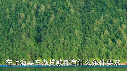 上海車牌貸款怎樣申請(上海車牌貸款申請了能取消嗎)? (http://www.tony-an.com/) 知識問答 第3張