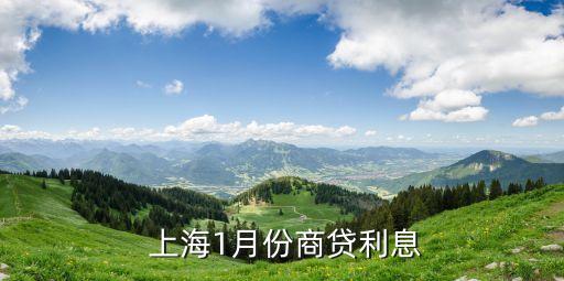 上海車貸利率是多少(上海車子貸款)? (http://www.tony-an.com/) 知識問答 第2張