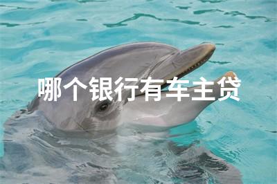 用車貸款哪個平臺靠譜(用車貸款的平臺)? (http://www.tony-an.com/) 知識問答 第1張