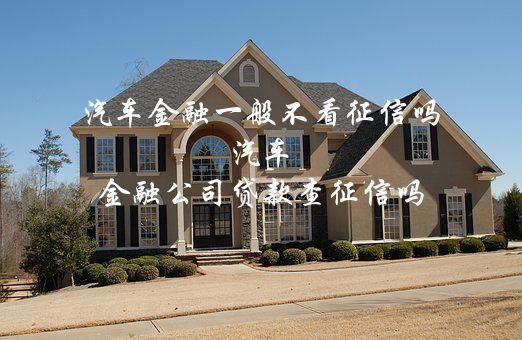不看征信有車就能貸款(征信能查出車貸嗎)? (http://www.tony-an.com/) 知識問答 第1張