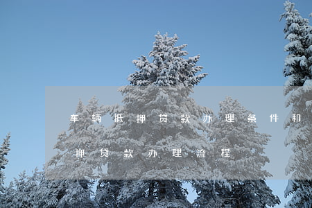 汽車抵押貸款需要什么手續和條件(抵押車輛貸款需要什么)? (http://www.tony-an.com/) 知識問答 第1張