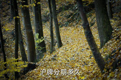 滬牌貸款(滬牌貸款合算嗎)? (http://www.tony-an.com/) 知識問答 第2張