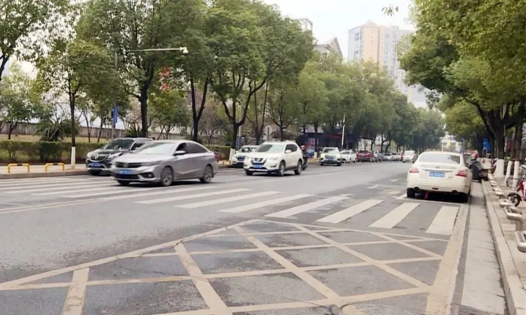 車主貸不看征信的平臺(車主貸查不查征信)? (http://www.tony-an.com/) 知識問答 第1張