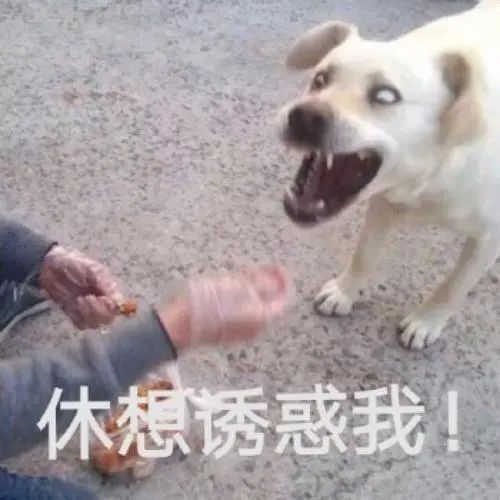 第三方車輛抵押貸款靠譜嗎%3F(三方抵押車可以買嗎)? (http://www.tony-an.com/) 知識問答 第2張