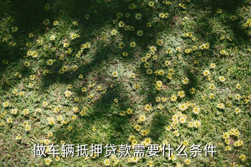 公司車抵押(抵押車公司戶好還是個人戶好)? (http://www.tony-an.com/) 知識問答 第1張