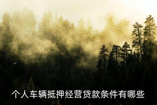 公司車抵押(抵押車公司戶好還是個人戶好)? (http://www.tony-an.com/) 知識問答 第2張