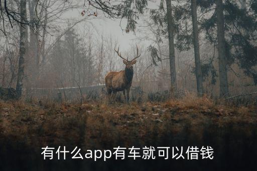 什么軟件可以代還車貸(貸代車軟件可以注銷嗎)? (http://www.tony-an.com/) 知識問答 第2張