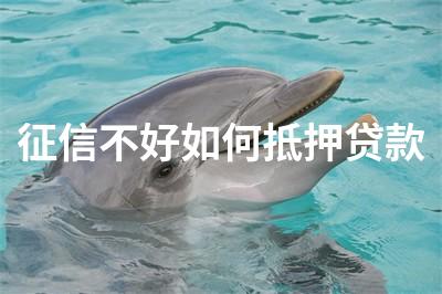 征信不好不押車貸款(押征信貸款車好過戶嗎)? (http://www.tony-an.com/) 知識問答 第1張