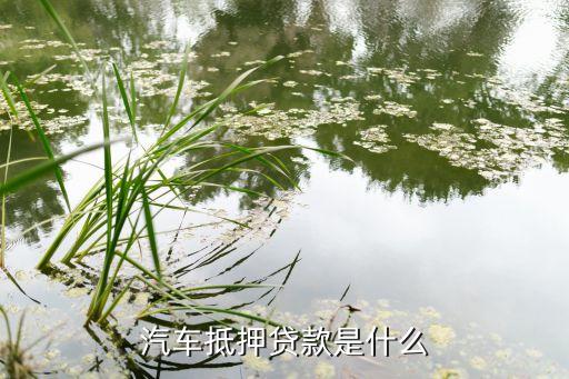 營運車輛可以抵押貸款嗎(抵押營運貸款車輛可以過戶嗎)? (http://www.tony-an.com/) 知識問答 第2張