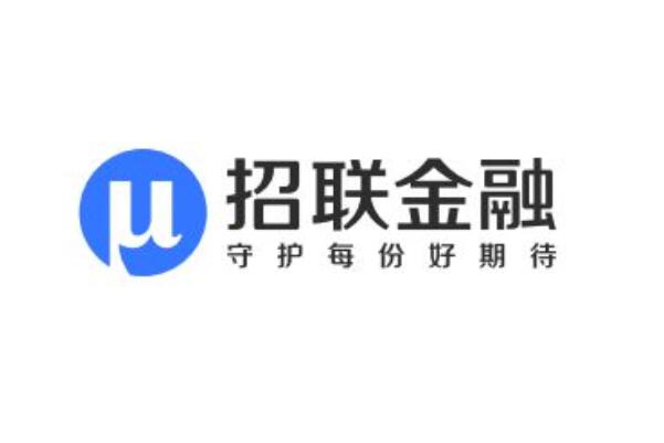 汽車抵押貸款正規平臺(正規抵押車貸款平臺有哪些)? (http://www.tony-an.com/) 知識問答 第2張