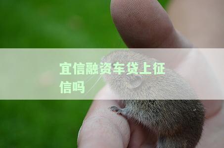 易車(chē)貸(易車(chē)貸)? (http://www.tony-an.com/) 知識(shí)問(wèn)答 第1張